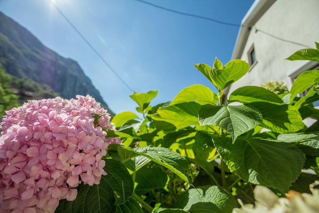 Farm Stay Ferjancic Vipava Zewnętrze zdjęcie